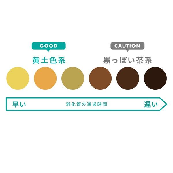 体調やストレスの状態を教えてくれるバロメーター! ウンチの色とにおいをチェック