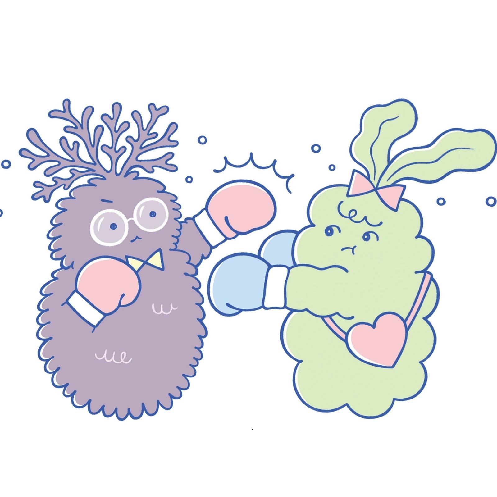 もずくvsめかぶ、腸活エリートたちの頂上決戦!? 両者の違いは…？