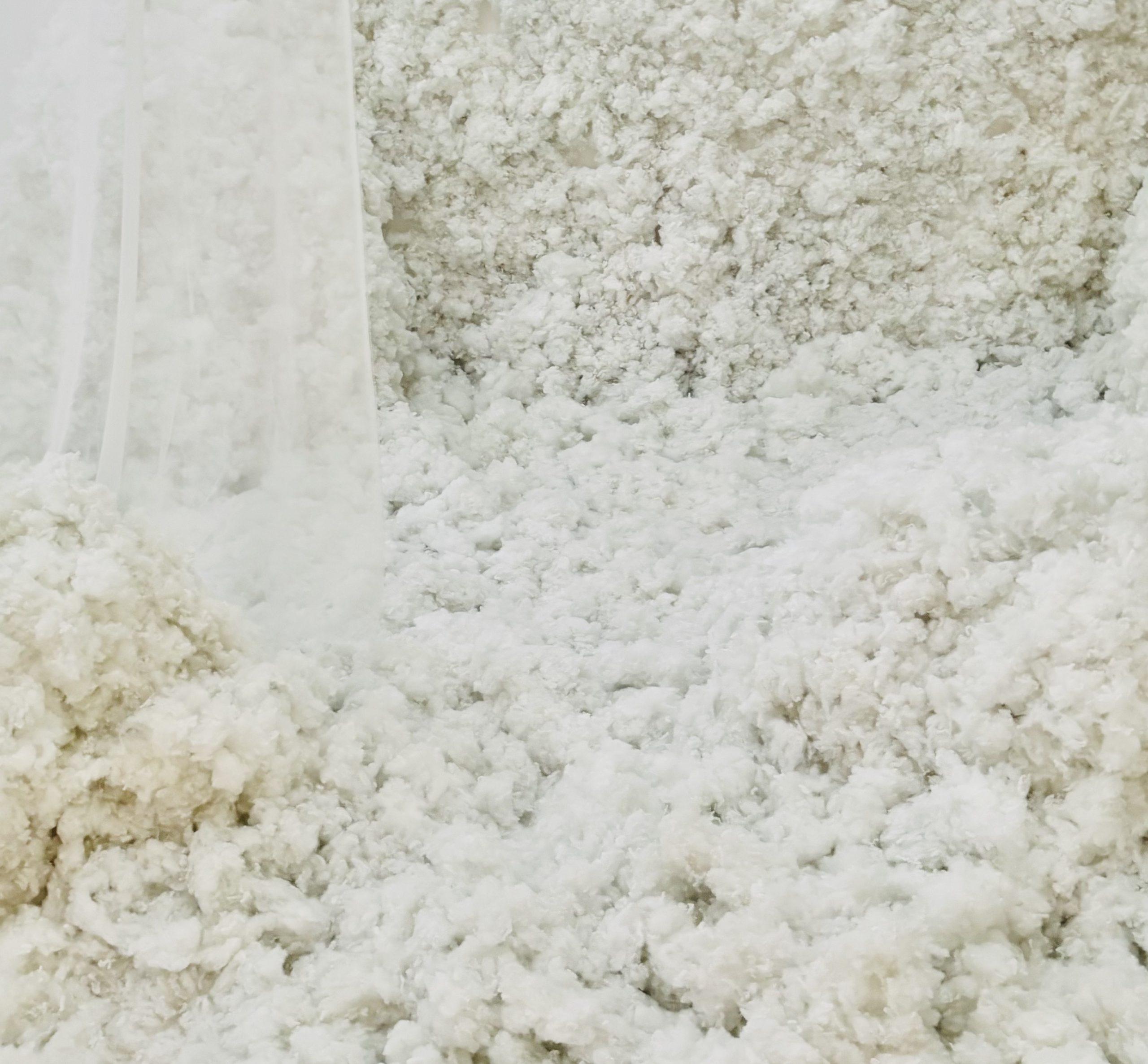 【COVER STORY】物腰はやわらかいのに、しっかりとした芯が通ってる。松島聡さんの無限の魅力が全開!